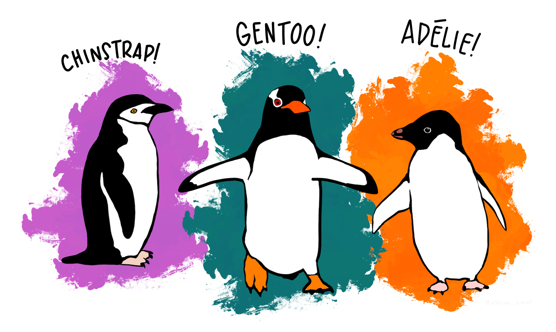 Illustration showing three species of penguins