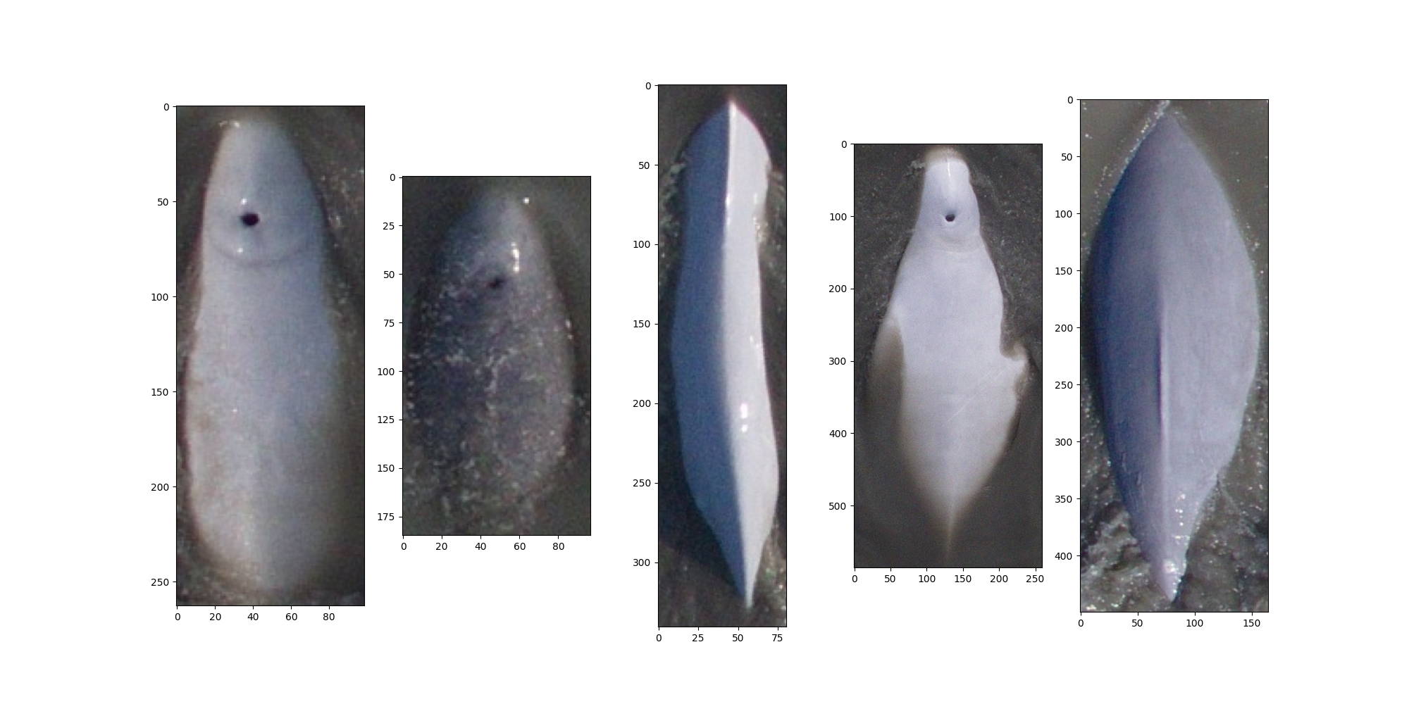 Examples of difficult query images.