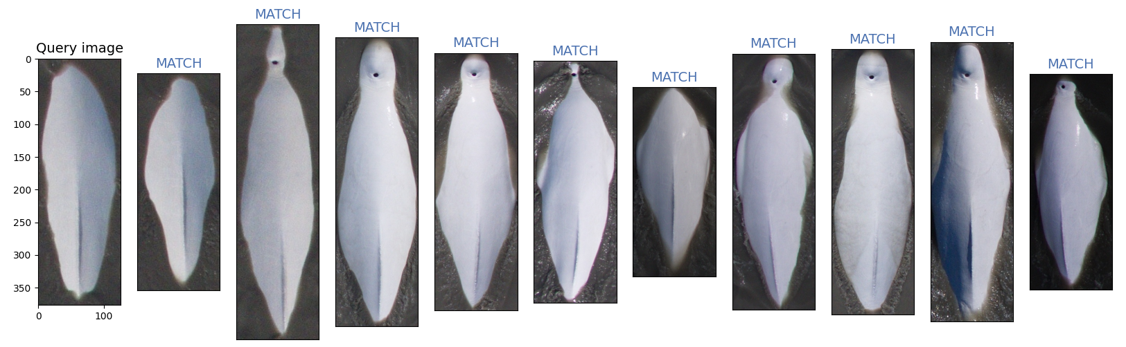 Another perfect score