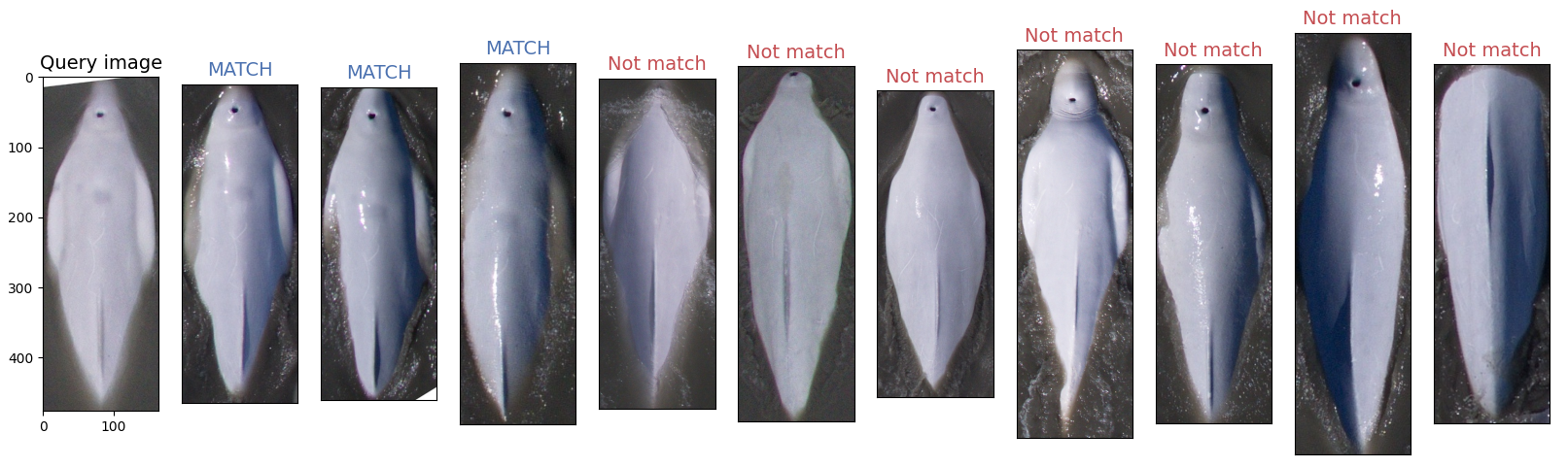 An example prediction