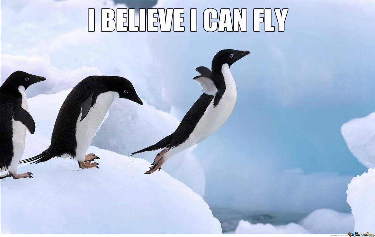 I believe I can fly
